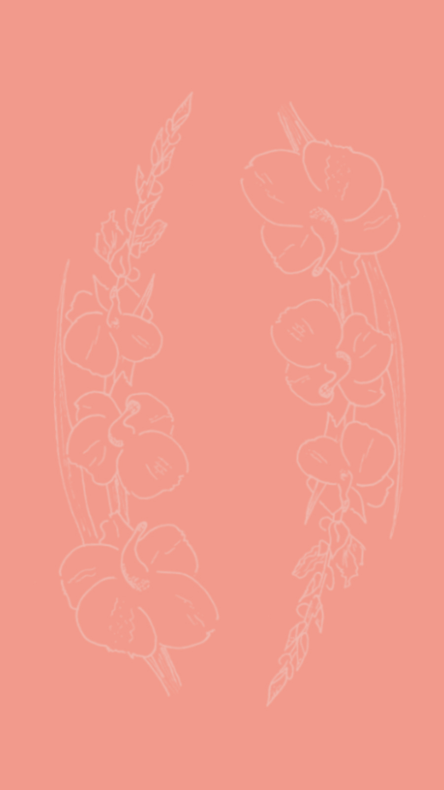 gladiolus flower sketch