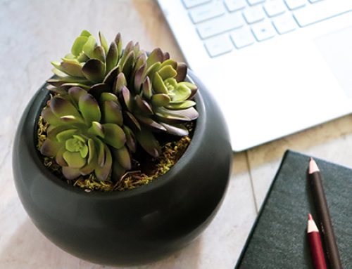 Zine-Inspired Color Ideas