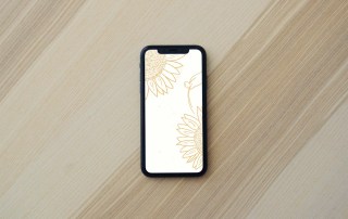 Sunflower Wallpaper Background for iPhones