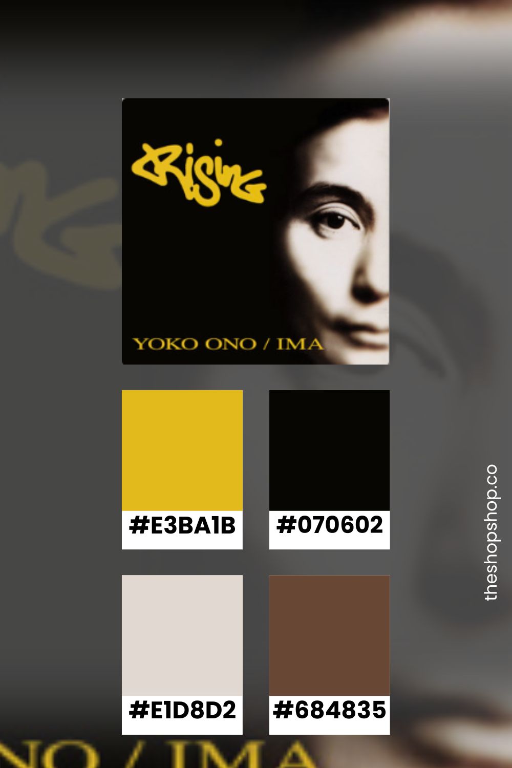 Yoko Ono Album Cover Art with Color Palettes