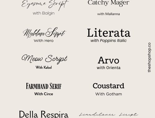 24 Canva Fonts for Clothing Brands