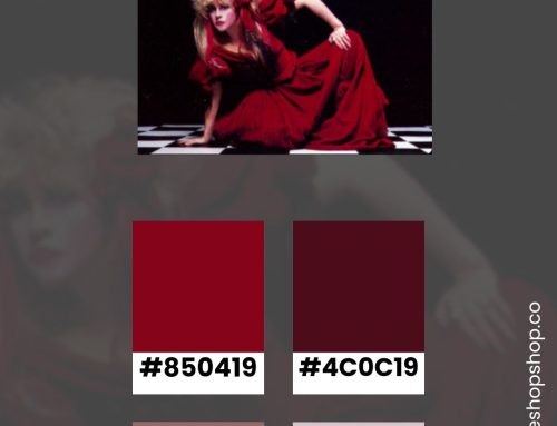 Color Combinations Inspired by Stevie Nicks’ Album Covers